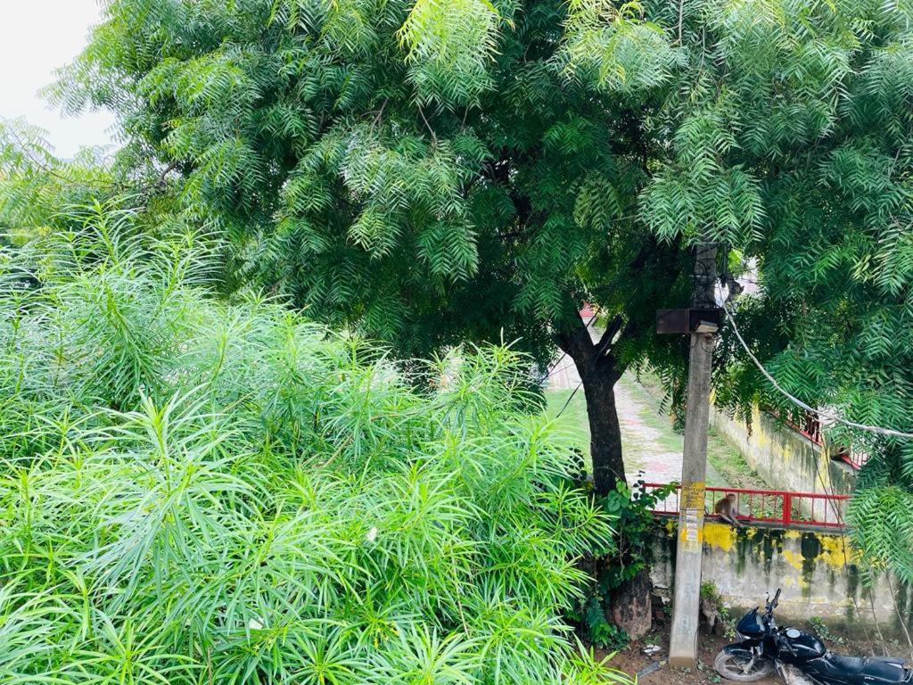 Shree Balaji Homestay Ayodhya Екстер'єр фото